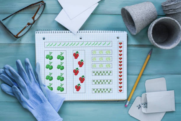 Planning Your Garden: The First Step to Success