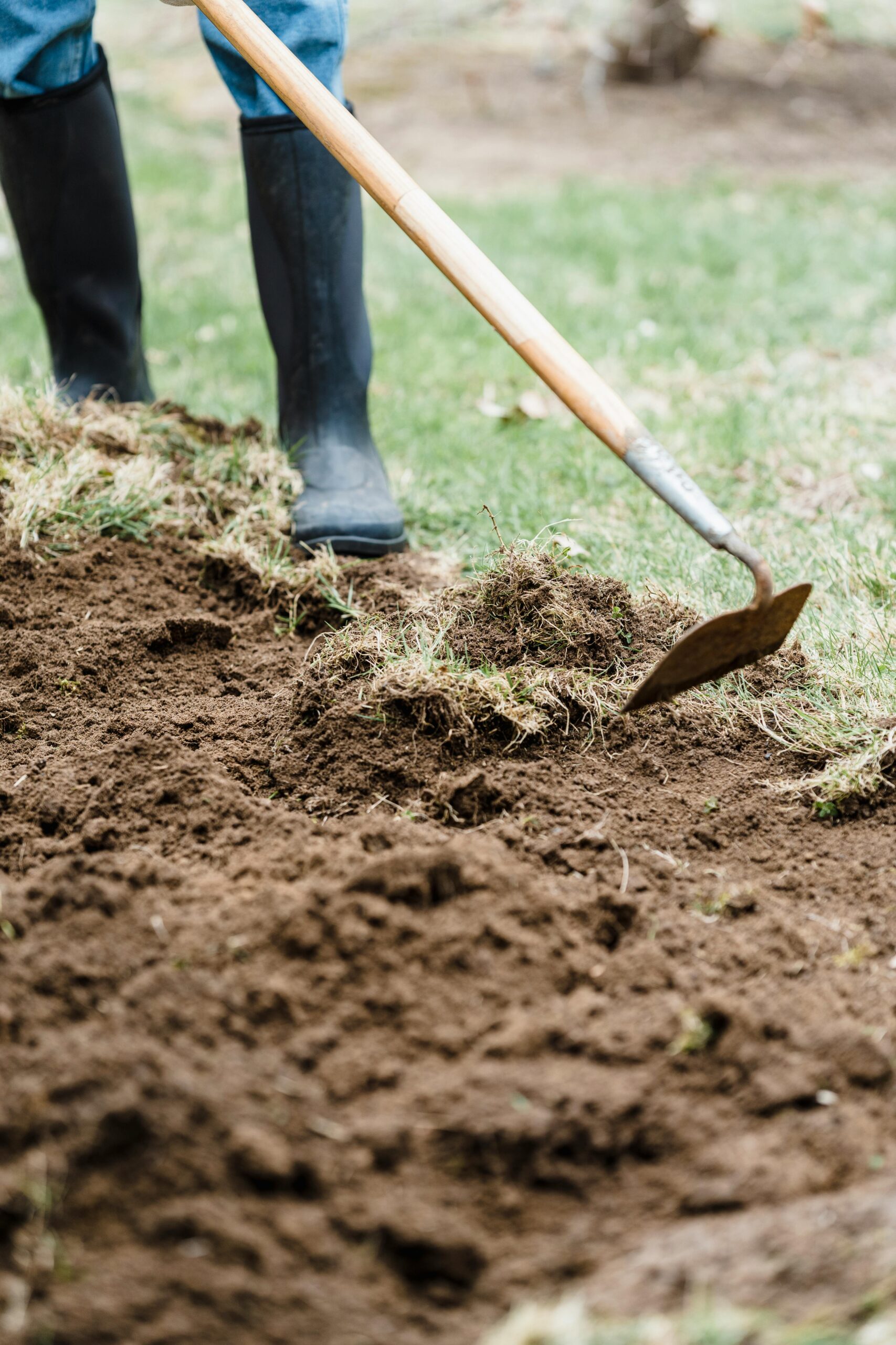 Soil Preparation for Beginners: Set Your Garden Up Right